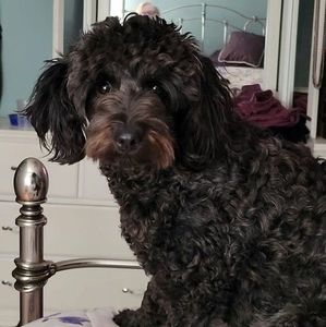 Meet your Posher, Sandra